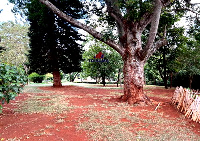 1.2 Acres Runda Land at KSh 120M