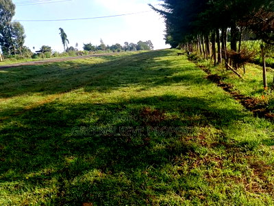 Land For Sale - Image 2