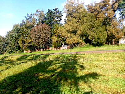 Land For Sale - Image 4