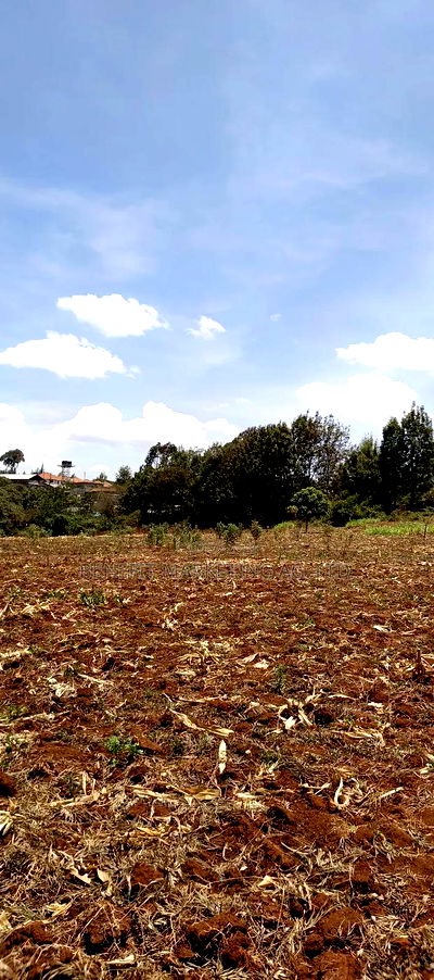 12 Acres for Sale in Kerarapon Drive. - Image 2