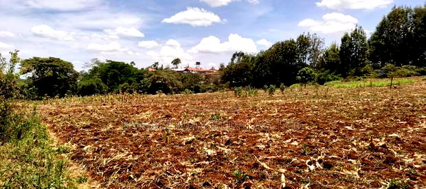 12 Acres for Sale in Kerarapon Drive.