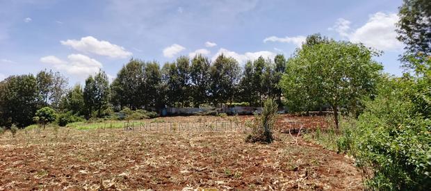 12 Acres for Sale in Kerarapon Drive.