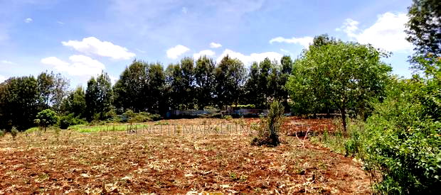 12 Acres for Sale in Kerarapon Drive.