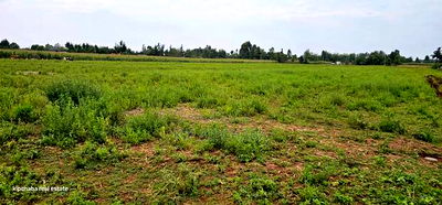 Commercial Plots Touching Highway Illula Eldoret - Image 5