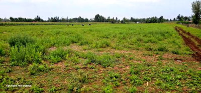 Commercial Plots Touching Highway Illula Eldoret - Image 7