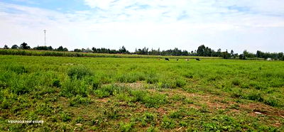 Commercial Plots Touching Highway Illula Eldoret - Image 6