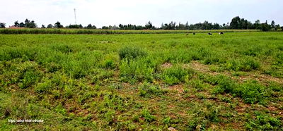 Commercial Plots Touching Highway Illula Eldoret - Image 2