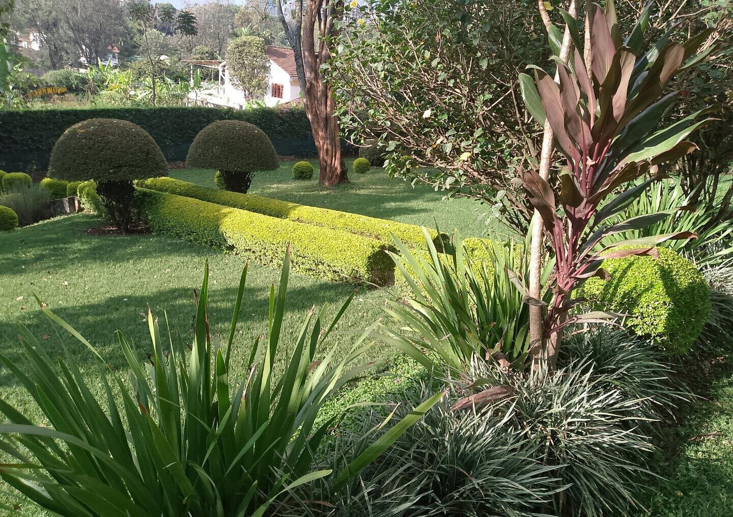 1 Acre Garden Plot in Kileleshwa