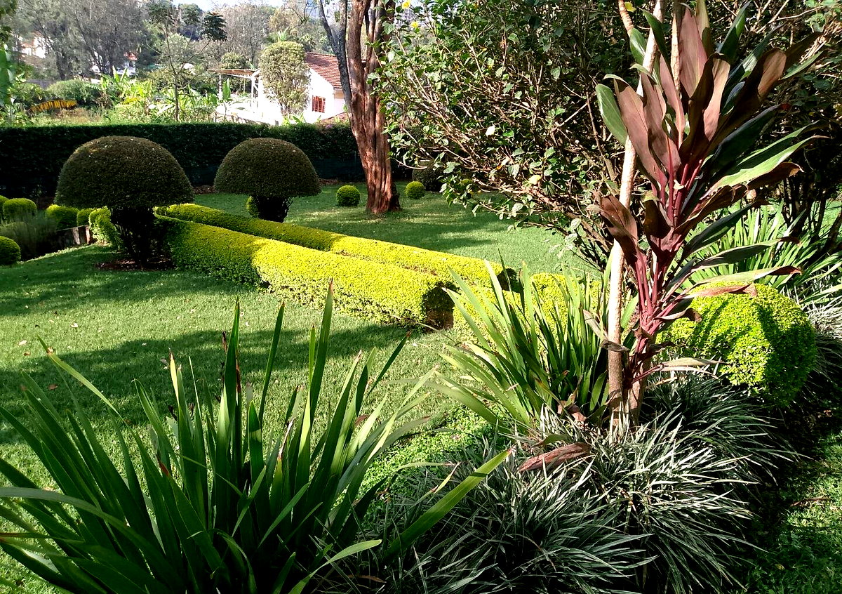 1 Acre Garden Plot in Kileleshwa