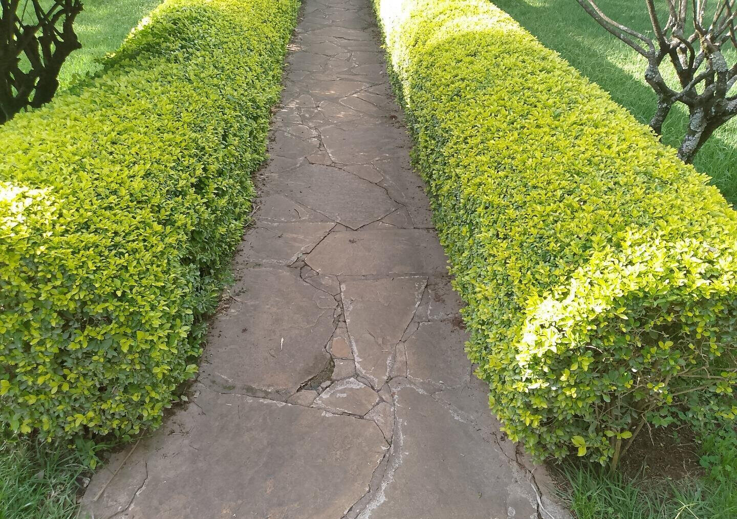 1 Acre Garden Plot in Kileleshwa