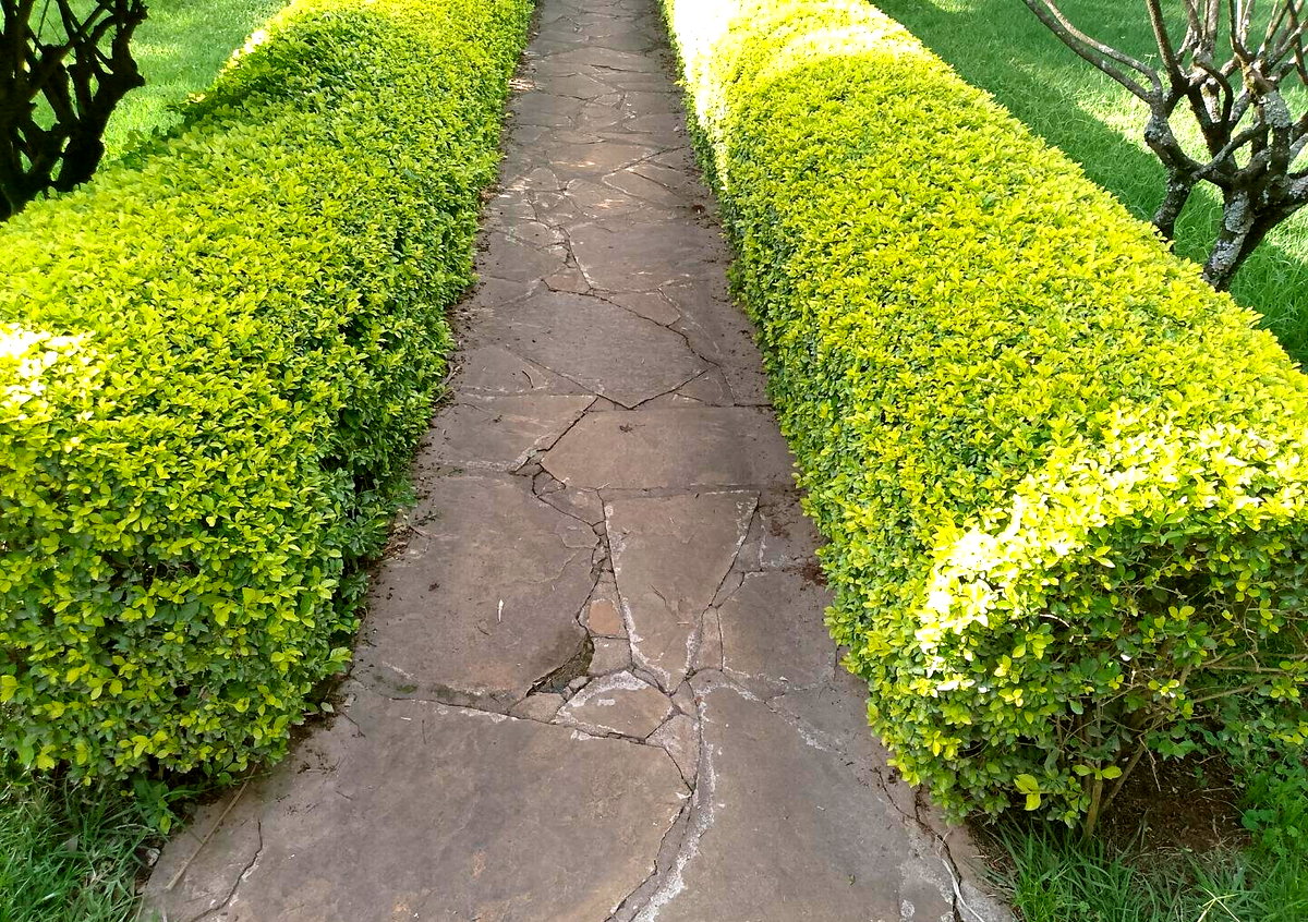1 Acre Garden Plot in Kileleshwa