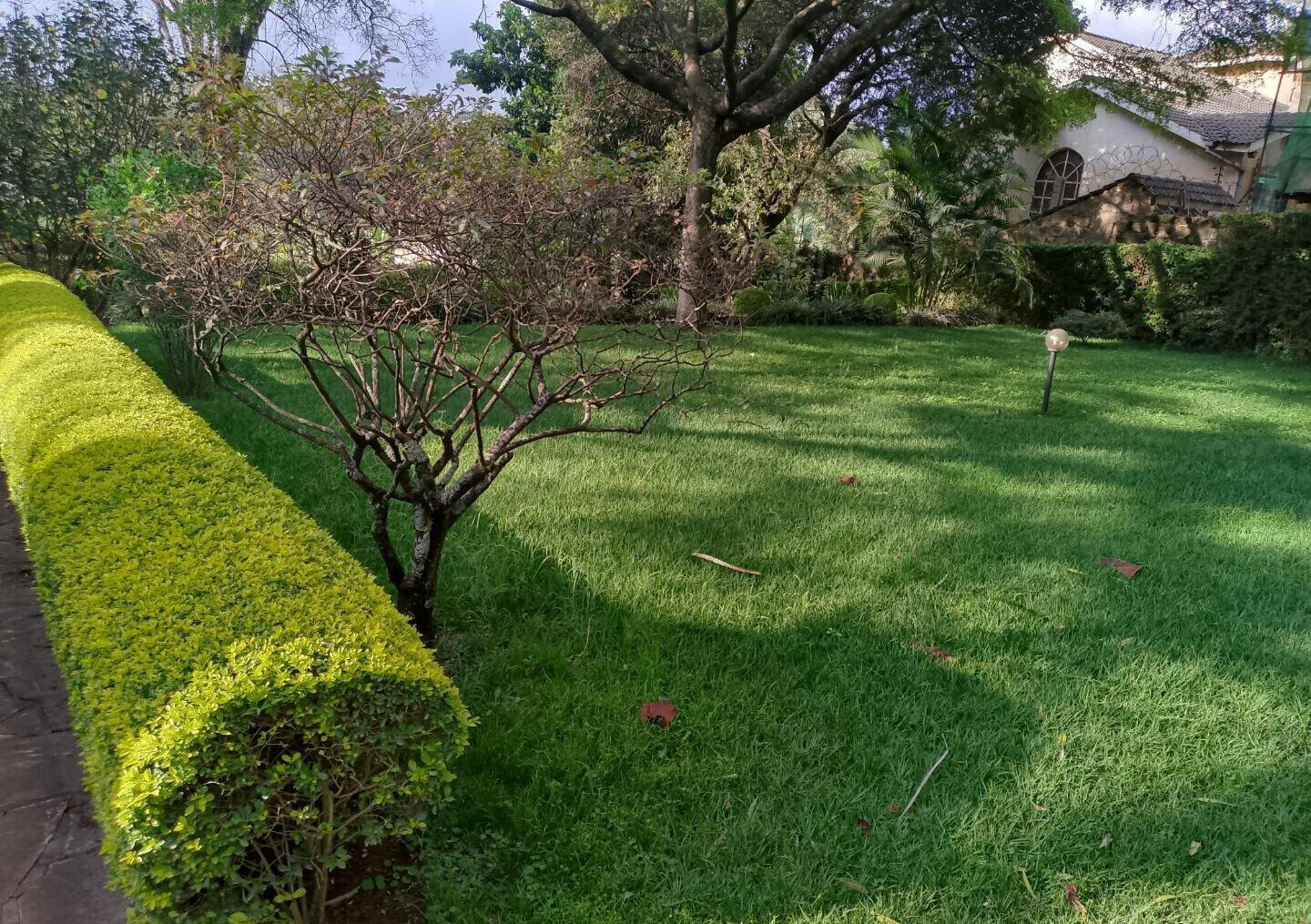1 Acre Garden Plot in Kileleshwa