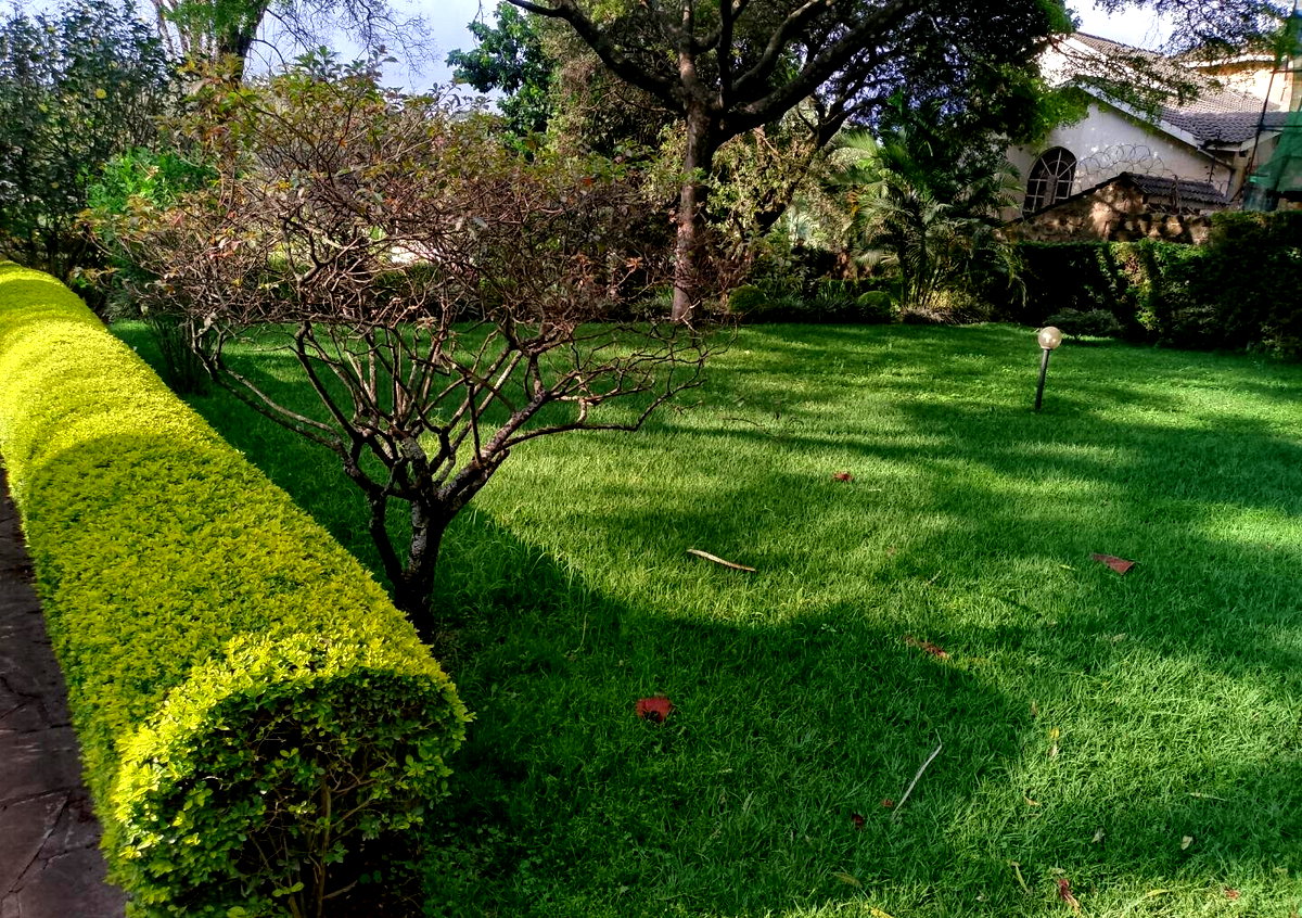 1 Acre Garden Plot in Kileleshwa