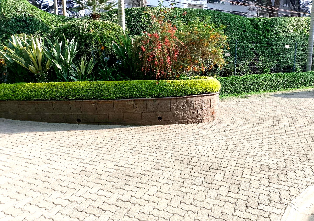 1 Acre Garden Plot in Kileleshwa