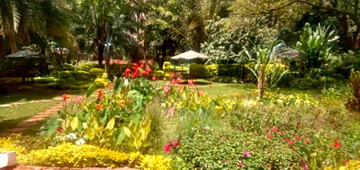 Stunning Commercial House Lavington 1.2 Acres - Image 2