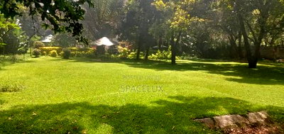 Stunning Commercial House Lavington 1.2 Acres - Image 4