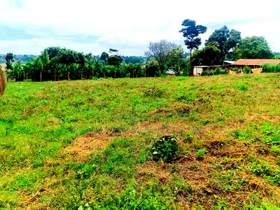 Prime Commercial Plot Available for Lease in Kikuyu! - Image 6