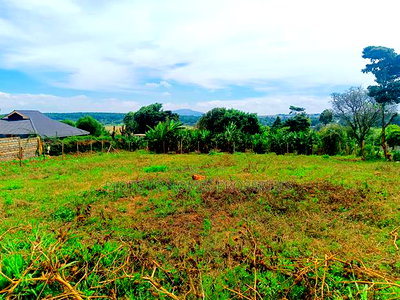 Prime Commercial Plot Available for Lease in Kikuyu! - Image 5