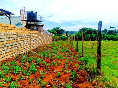 Prime Commercial Plot Available for Lease in Kikuyu! - Image 10