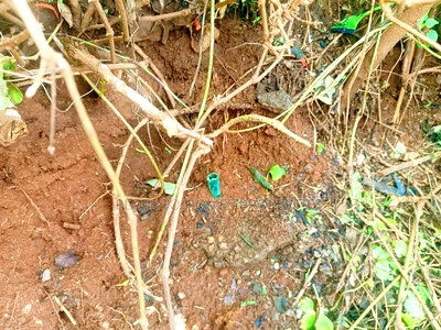 Prime Commercial Plot Available for Lease in Kikuyu! - Image 9