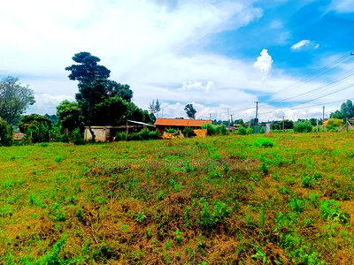 Prime Commercial Plot Available for Lease in Kikuyu! - Image 7
