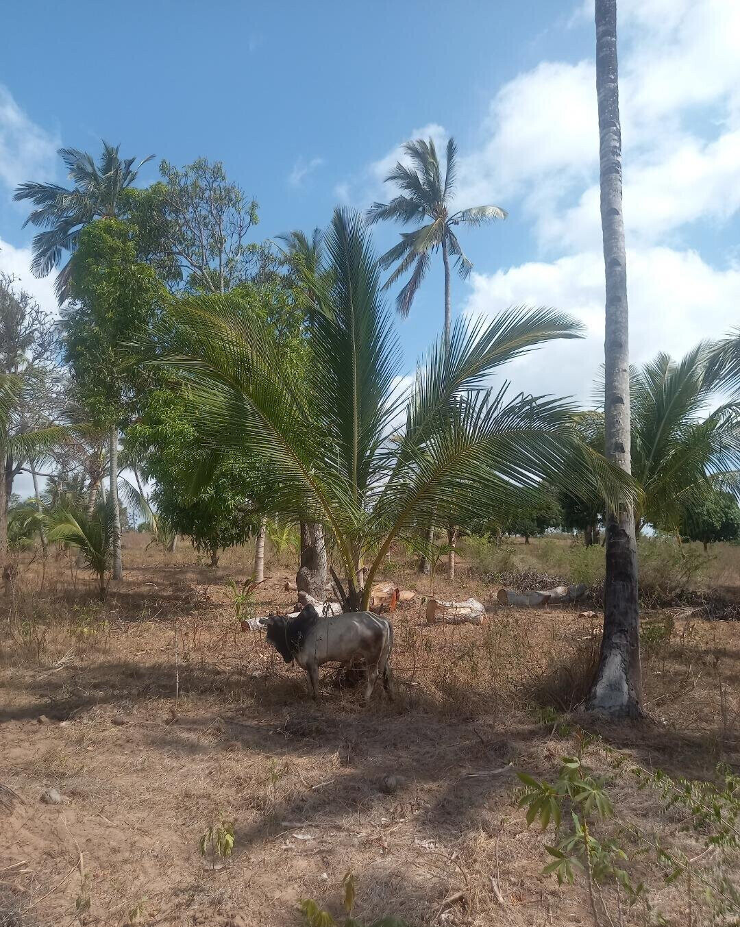 2-Acre Plot in Bomani, Kilifi for KSh 8M
