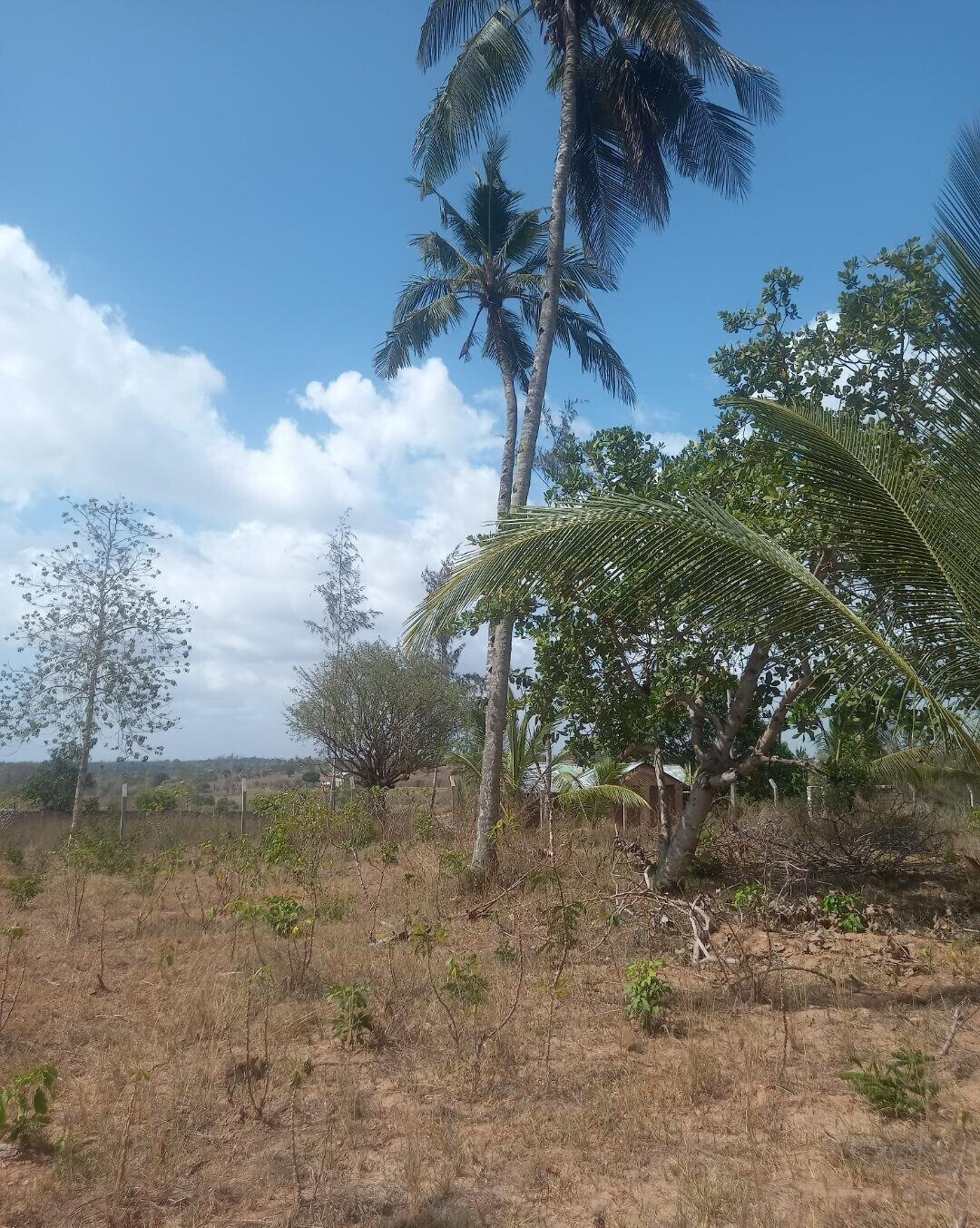 2-Acre Plot in Bomani, Kilifi for KSh 8M