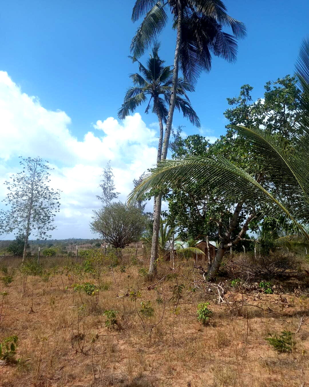 2-Acre Plot in Bomani, Kilifi for KSh 8M
