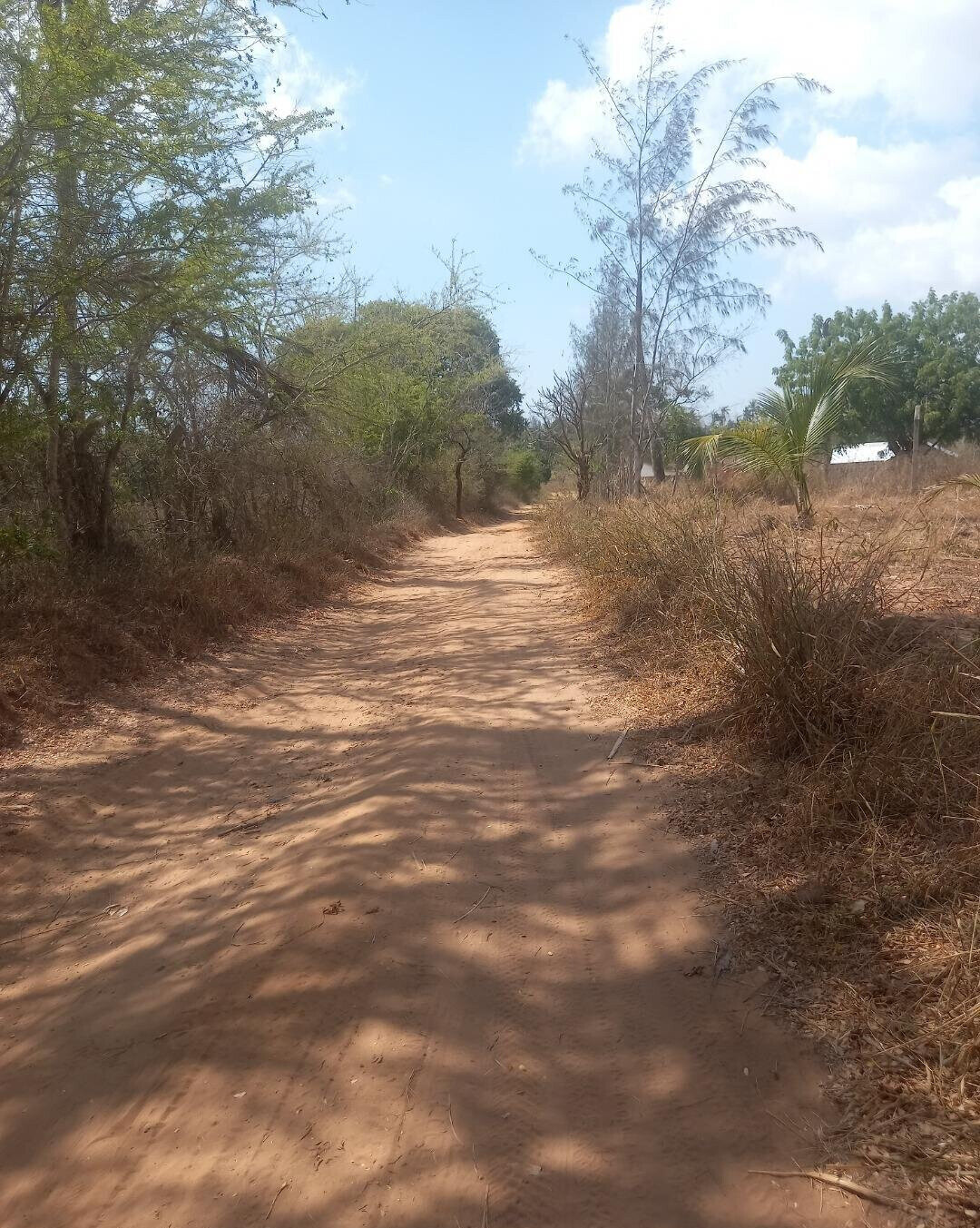 2-Acre Plot in Bomani, Kilifi for KSh 8M