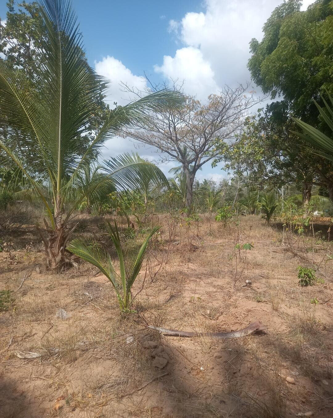 2-Acre Plot in Bomani, Kilifi for KSh 8M