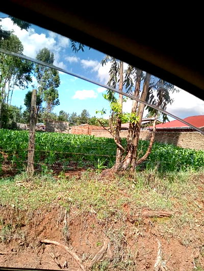 1/4 Plot Kimumu Junction With Title - Image 2