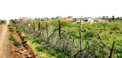 1/8 Acre Plot for Sale at Pema Gated Estate, Nakuru - Image 5