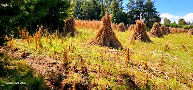 Plot for Sale in Chepkanga Eldoret - Image 5