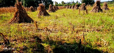 Plot for Sale in Chepkanga Eldoret - Image 1