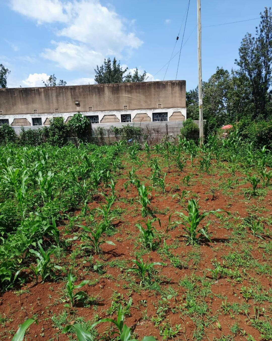 KSh 1.6M Plot in Seme