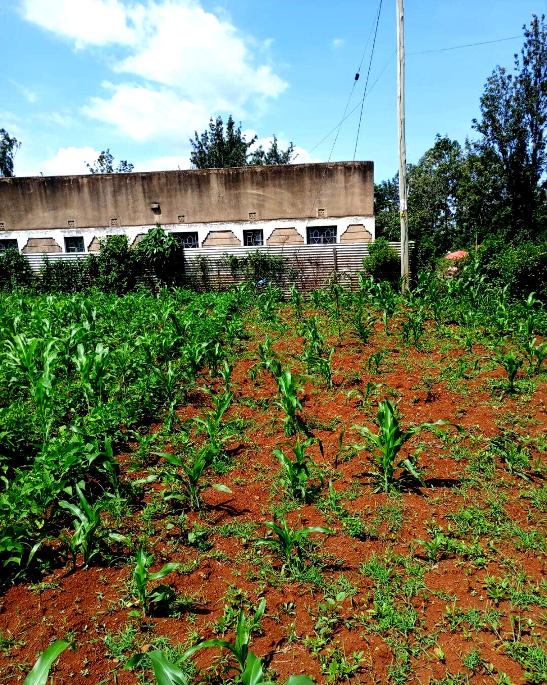 KSh 1.6M Plot in Seme