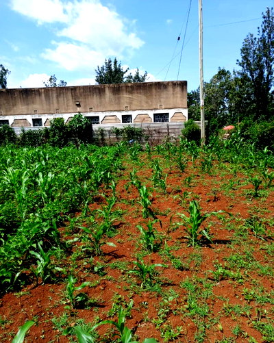 KSh 1.6M Plot in Seme