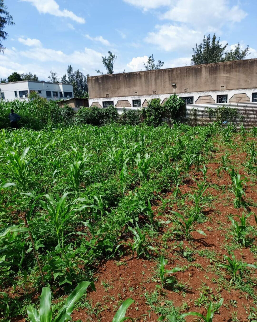 KSh 1.6M Plot in Seme