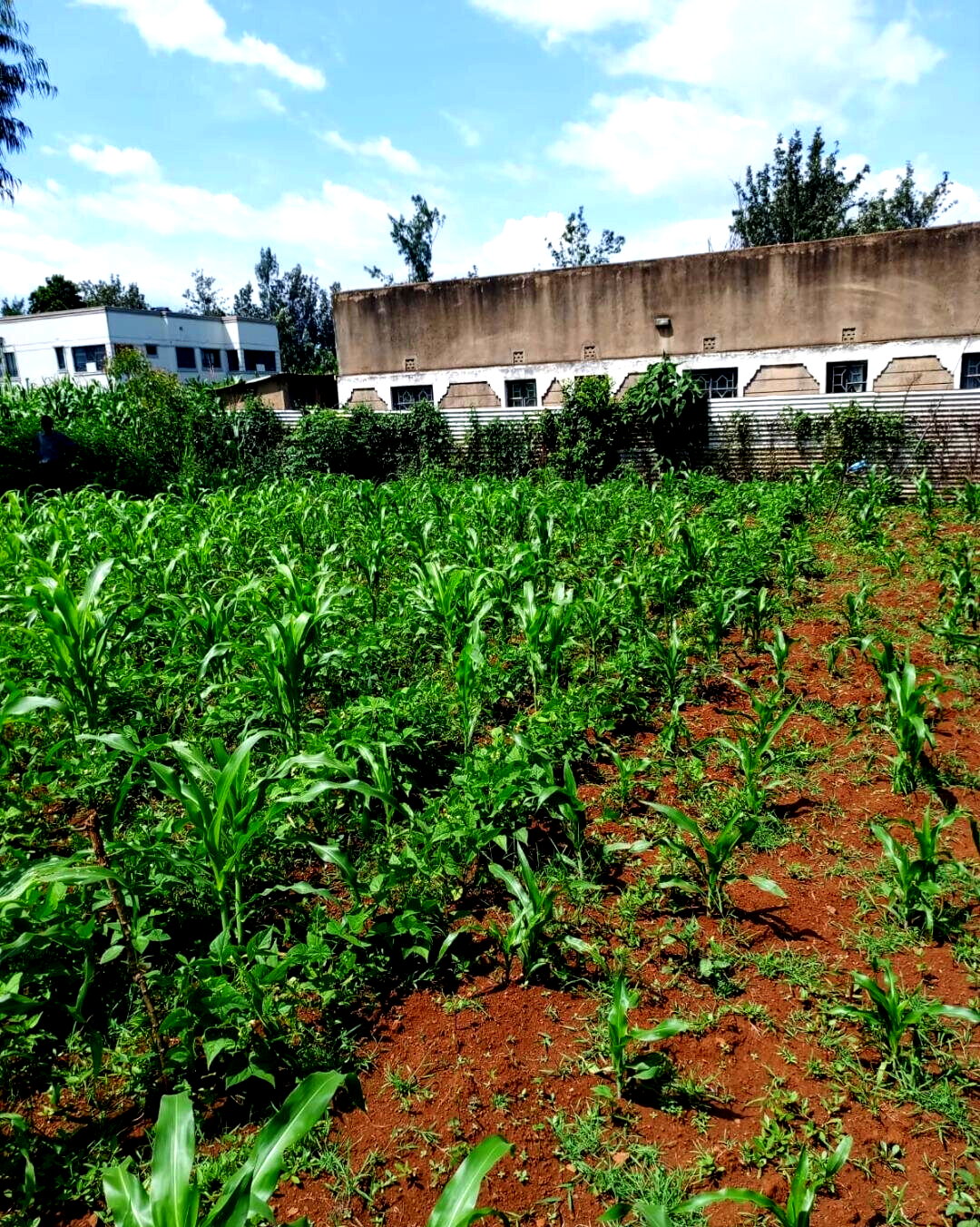 KSh 1.6M Plot in Seme