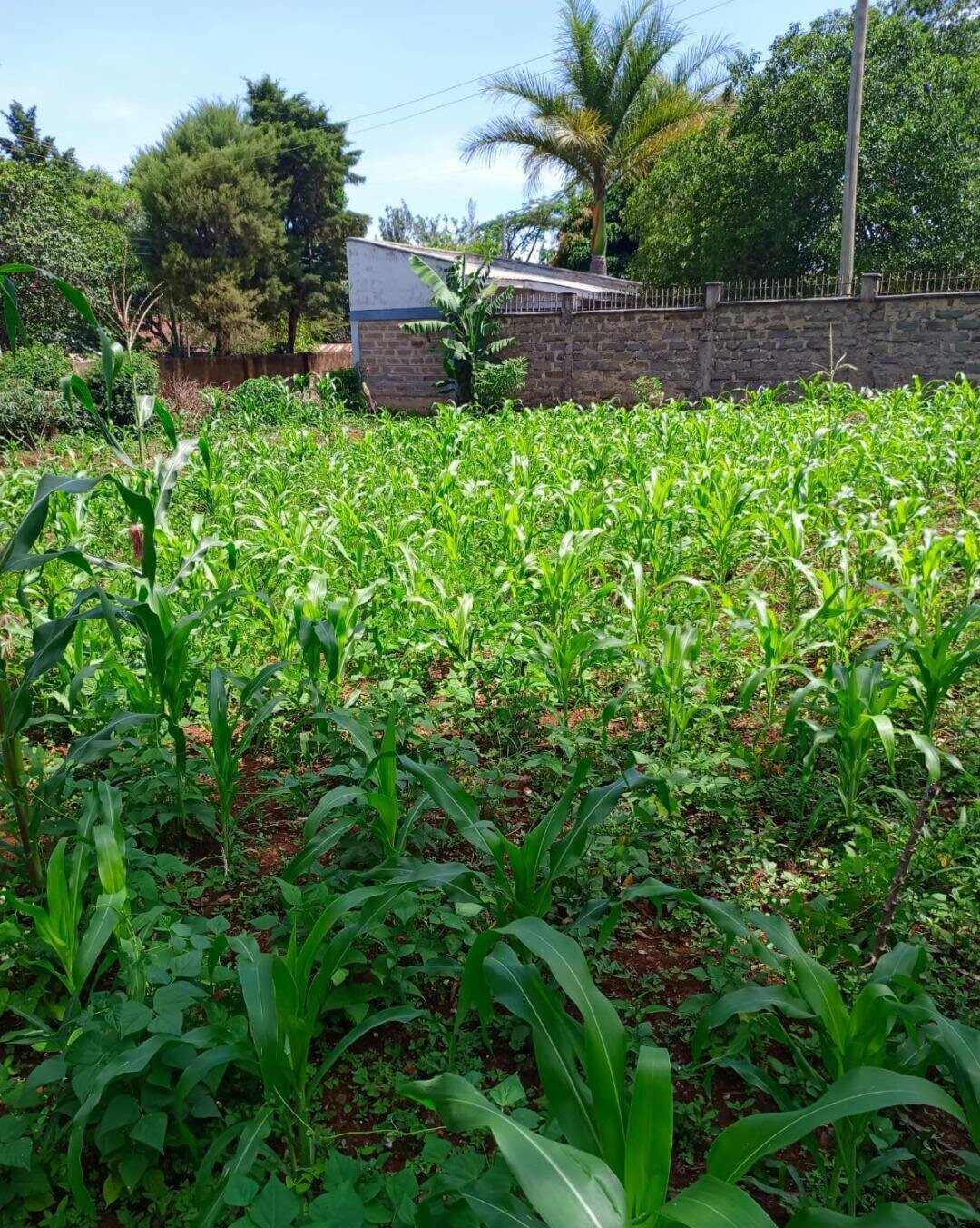 KSh 1.6M Plot in Seme