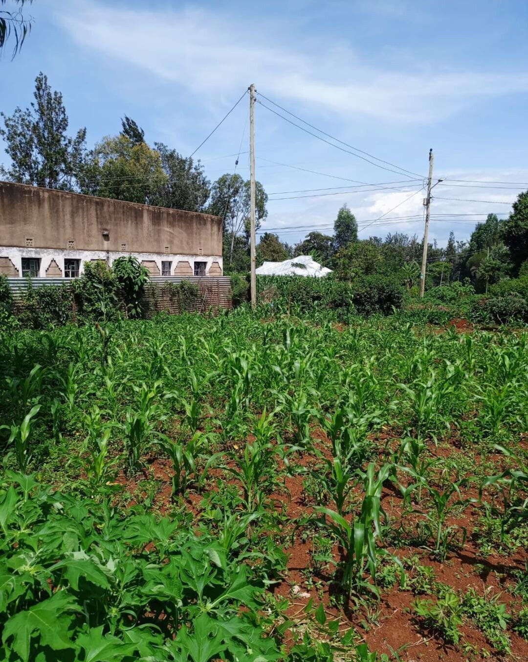 KSh 1.6M Plot in Seme
