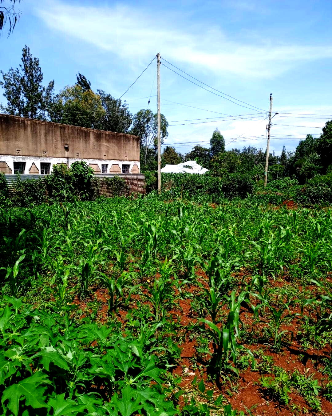 KSh 1.6M Plot in Seme