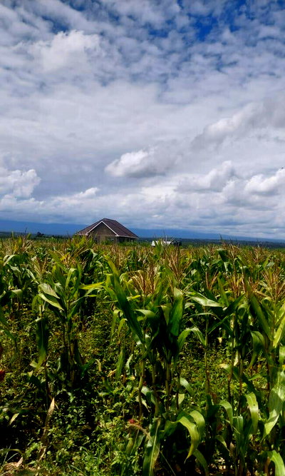47-Acre Investment at KSh 3M per Acre