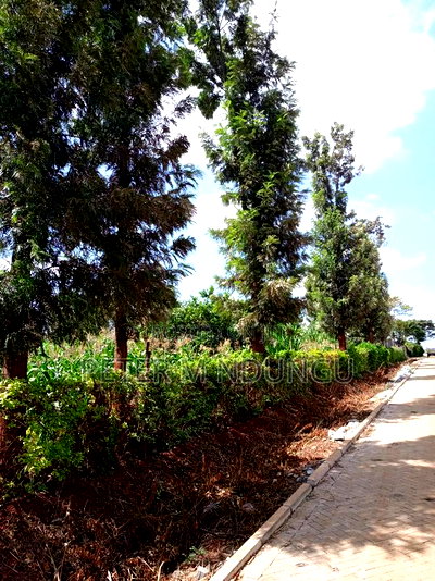 Prime One Acre, Kiukenda - Image 4