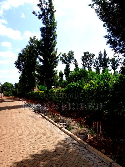 Prime One Acre, Kiukenda - Image 3