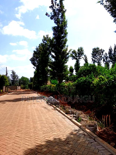 Prime One Acre, Kiukenda - Image 2