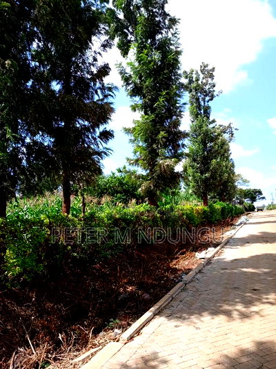 Prime One Acre, Kiukenda - Image 6