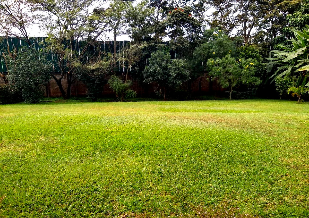 Half Acre 5BR Haven at KSh 350K