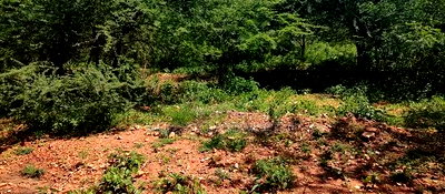 Embu,Mbeere 8 Acres Farmland - Image 10