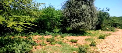 Embu,Mbeere 8 Acres Farmland - Image 1